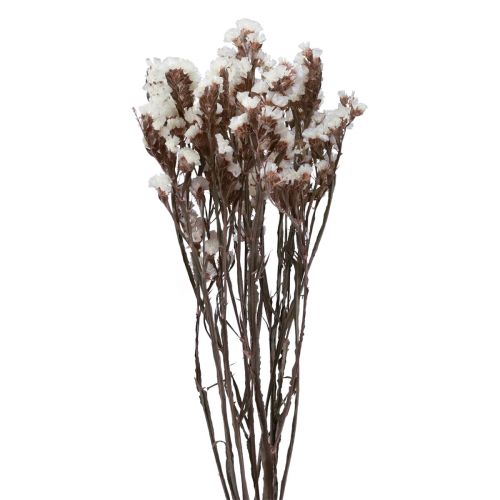 Floristik24 Beach Lilac White Limonium Dried Flowers 60cm 35g