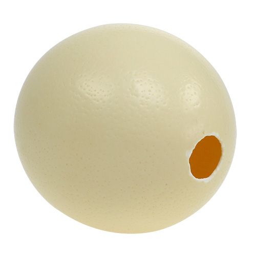 Product Ostrich egg natural blown out empty decoration