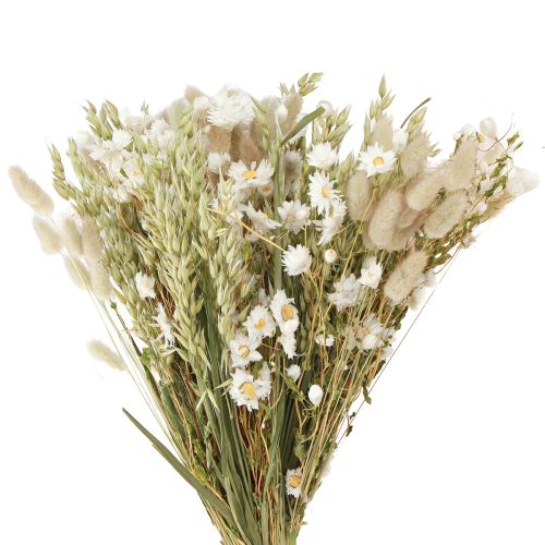 Floristik24 Bouquet Dried Flowers White Strawflowers Oats Lagurus 55cm