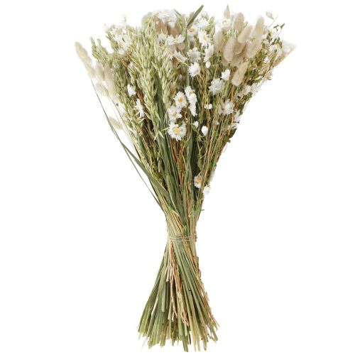 Floristik24 Bouquet Dried Flowers White Strawflowers Oats Lagurus 55cm