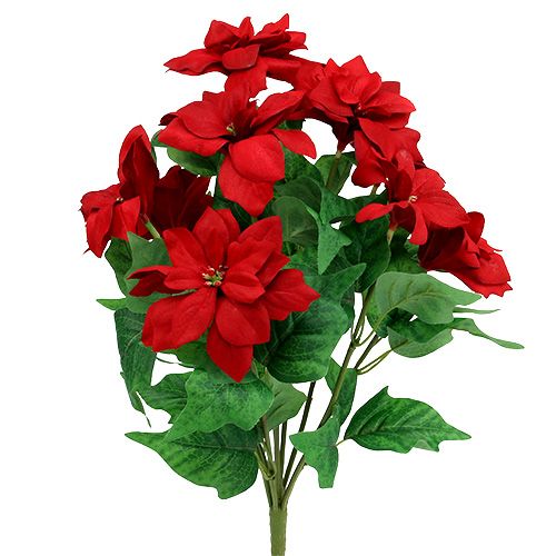 Floristik24 Bouquet Poinsettia Red L47cm