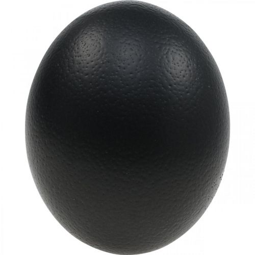 Ostrich Egg Decoration Blown Out Easter Decoration Black Ø12cm H14cm