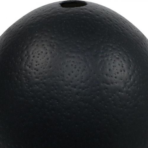 Ostrich Egg Decoration Blown Out Easter Decoration Black Ø12cm H14cm | Floristik24.ie