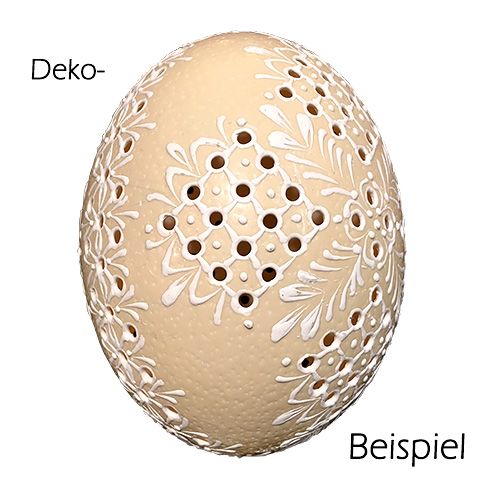 Product Ostrich egg natural blown out empty decoration