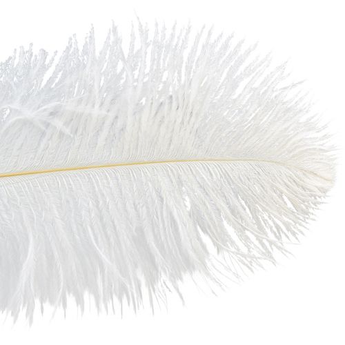Product Ostrich Feathers Exotic Decoration White Feathers 32-35cm 4 Pcs