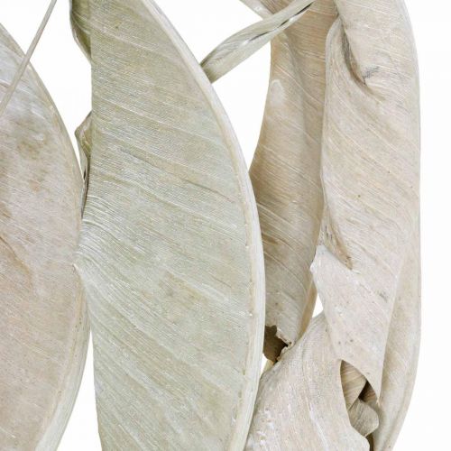 Product Strelitzia leaves washed white dried 45-80cm 10p