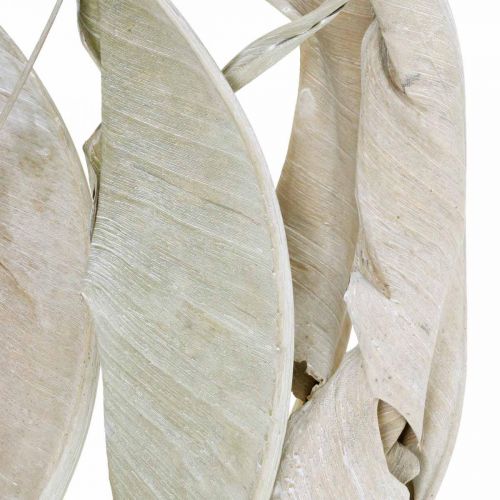 Floristik24 Strelitzia leaves white washed dried 45-80cm 10 pcs