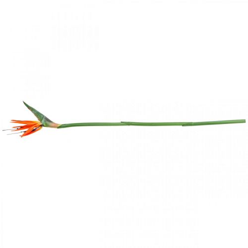 Floristik24 Strelizie reginae artificial flower orange bird of paradise L85cm