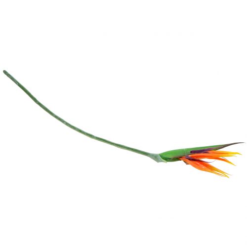 Floristik24 Strelitzia Bird of Paradise 95cm