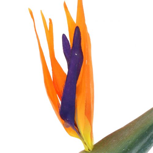 Floristik24 Strelitzia bird of paradise flower artificial 98cm