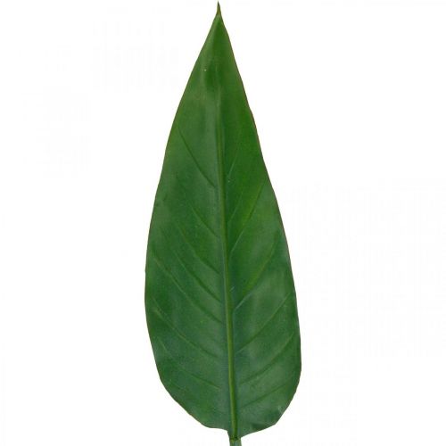 Floristik24 Strelitzia Parrot Flower Decorative Leaf Strelitzia Leaf Green L81cm