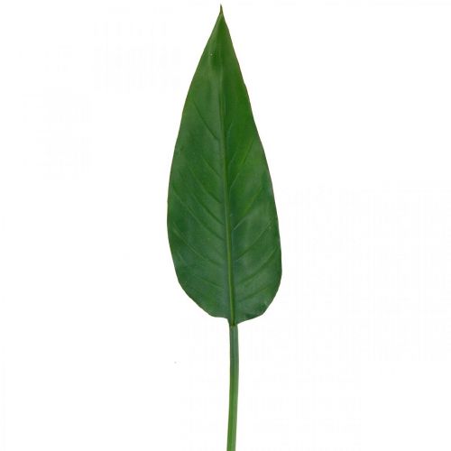 Product Strelitzia Parrot Flower Decorative Leaf Strelitzia Leaf Green L81cm