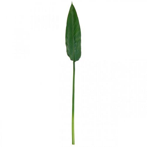 Floristik24 Strelitzia Parrot Flower Decorative Leaf Strelitzia Leaf Green L81cm