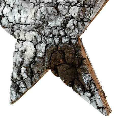 Floristik24 Birch bark star large white 19cm 4pcs