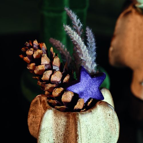 Strobus cones 10-15cm varnished 100 pcs | Floristik24.ie