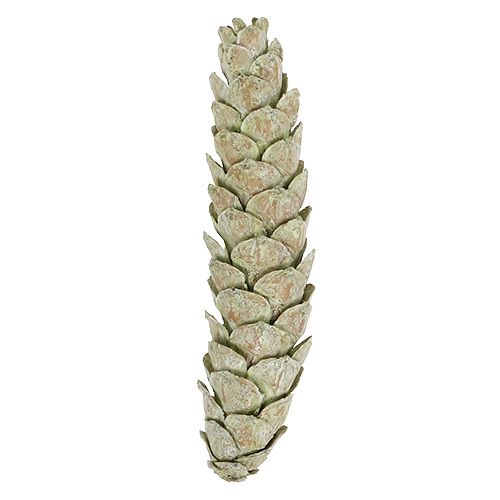 Product Strobus cones decoration apple green white washed 15-20cm 50 pcs