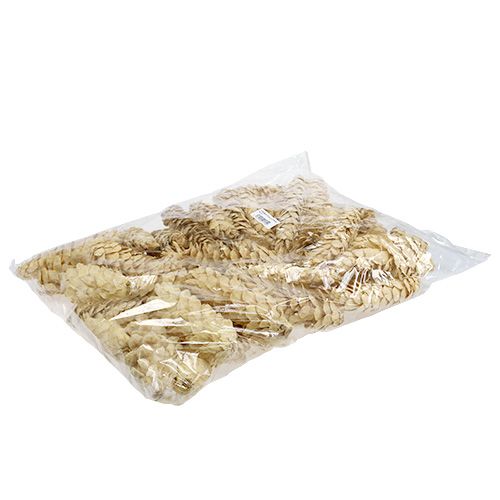 Product Strobus bleached 15cm-20cm 50 pcs