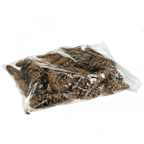 Pine cones Weymouth pine Strobus natural mixed 2,5kg | Floristik24.ie