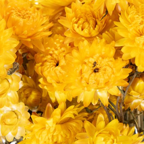 Product Dried yellow strawflower (Helichrysum) dried flower bunch, 100g