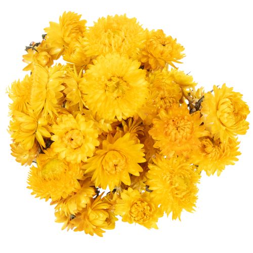 Product Dried yellow strawflower (Helichrysum) dried flower bunch, 100g