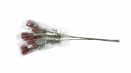 Floristik24 Xanthium branch Bordeaux 69cm 3pcs