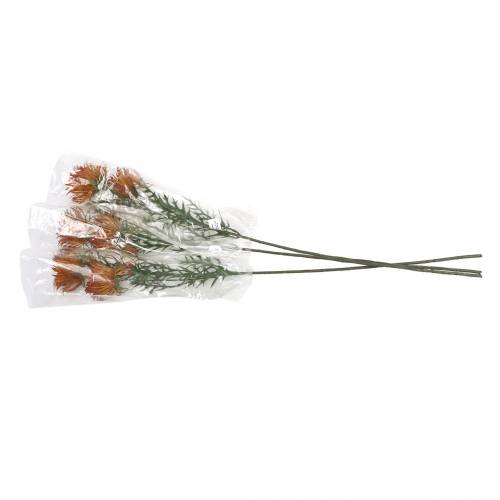 Floristik24 Xanthium branch orange 69cm 3pcs