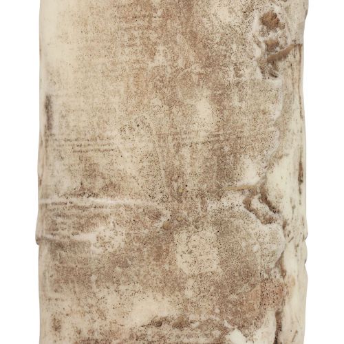 Floristik24 Pillar Candle Tree Bark Candle Birch Decor Cream 140/80mm