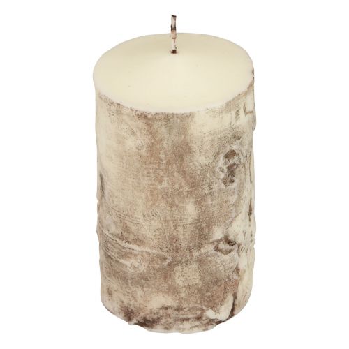 Floristik24 Pillar Candle Tree Bark Candle Birch Decor Cream 140/80mm