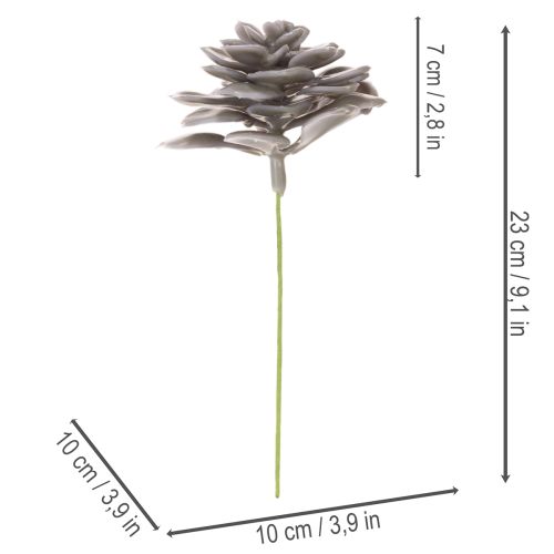 Artificial succulent wax flowers decoration 10cm 6pcs | Floristik24.ie
