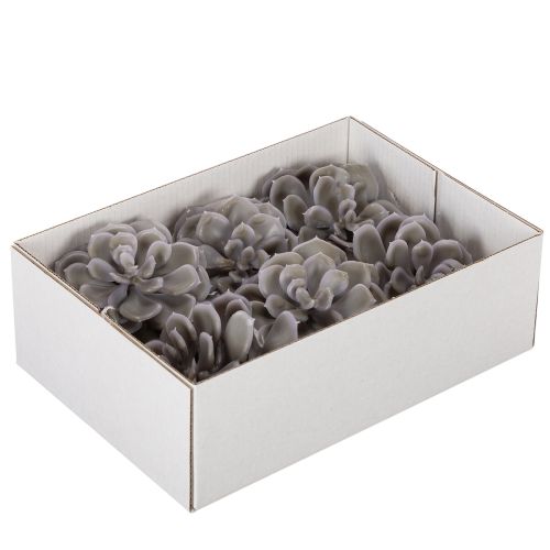 Artificial succulent wax flowers decoration 10cm 6pcs | Floristik24.ie