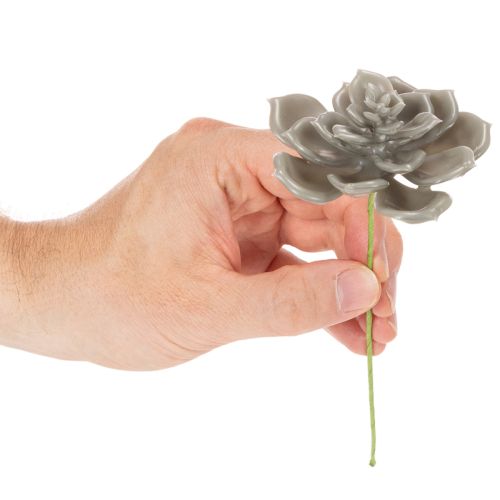 Artificial succulent wax artificial plant with wire 8cm 8pcs | Floristik24.ie