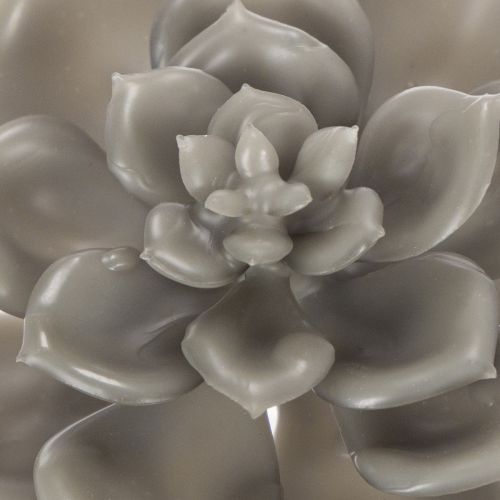 Artificial succulent wax artificial plant with wire 8cm 8pcs | Floristik24.ie
