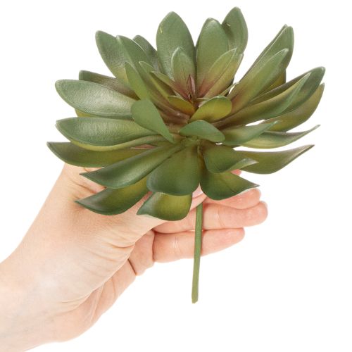 Artificial succulent as a decorative plant, green, 18cm, 3 pieces | Floristik24.ie
