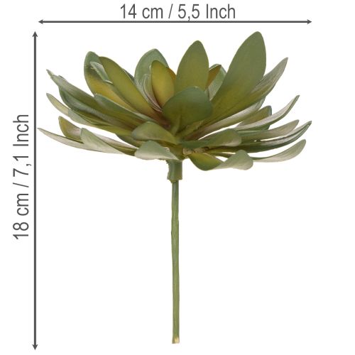 Artificial succulent as a decorative plant, green, 18cm, 3 pieces | Floristik24.ie