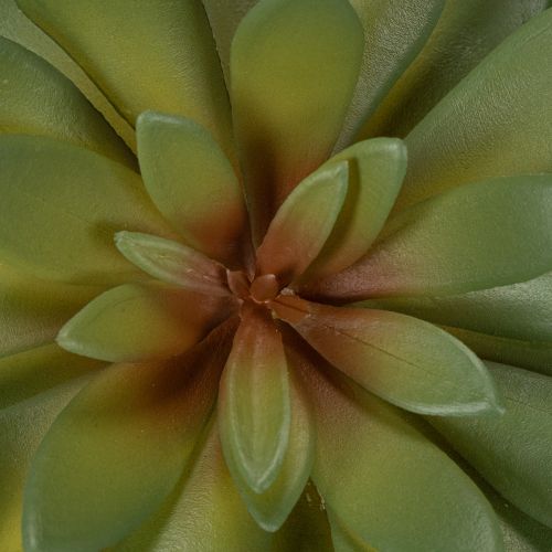 Artificial succulent as a decorative plant, green, 18cm, 3 pieces | Floristik24.ie