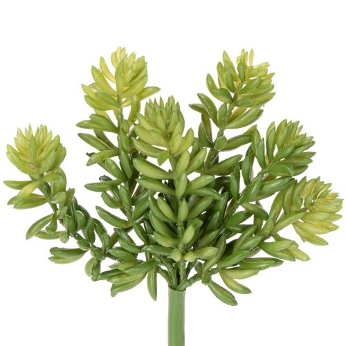 Floristik24 Artificial succulent flower for low-maintenance design of living and office spaces, 15cm, 5 pieces