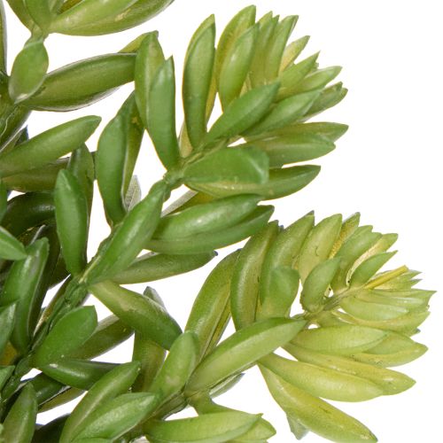 Product Artificial succulent flower for low-maintenance design of living and office spaces, 15cm, 5 pieces