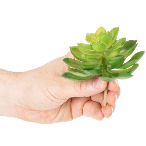 Product Artificial succulent plant, green, for decoration in a bowl or vase, 10cm, 4 pieces