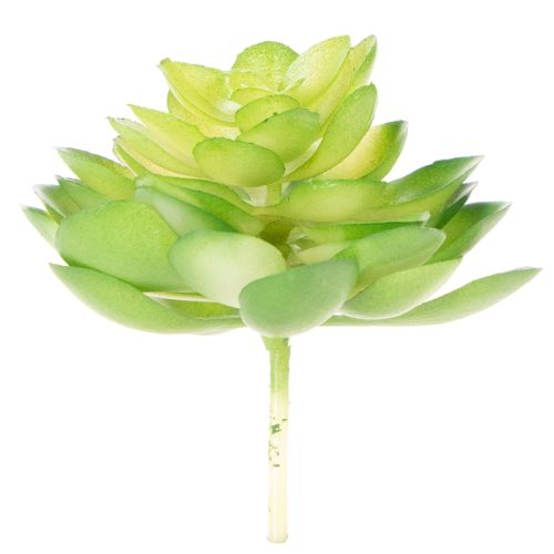 Artificial succulent plant, green, for decoration in a bowl or vase, 10cm, 4 pieces | Floristik24.ie