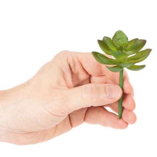 Artificial green succulent plant as decoration for creative arrangements | Floristik24.ie
