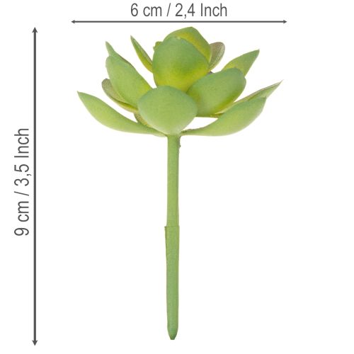 Artificial green succulent plant as decoration for creative arrangements | Floristik24.ie