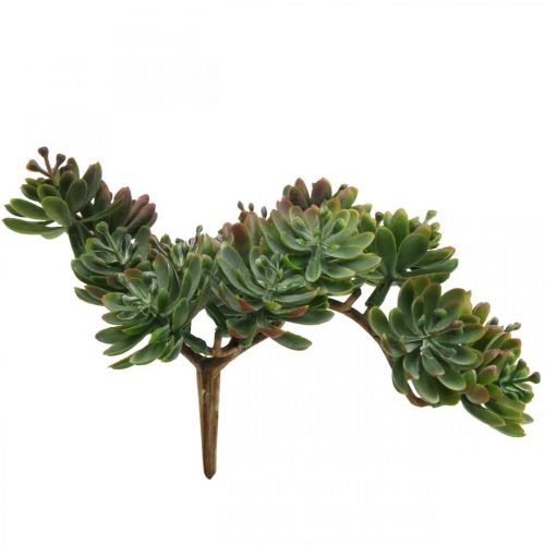 Floristik24 Artificial succulent to stick green, red 12cm