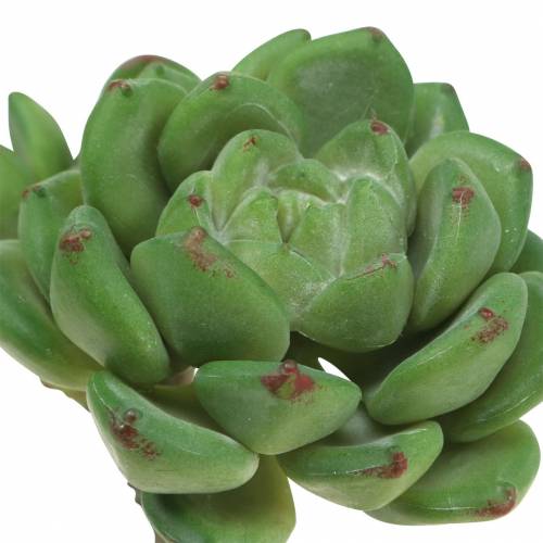 Product Succulent Echeveria artificial Green H15cm