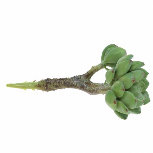 Product Succulent Echeveria artificial Green H15cm