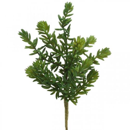 Floristik24 Succulent artificial green plant to stick 25cm green 2pcs