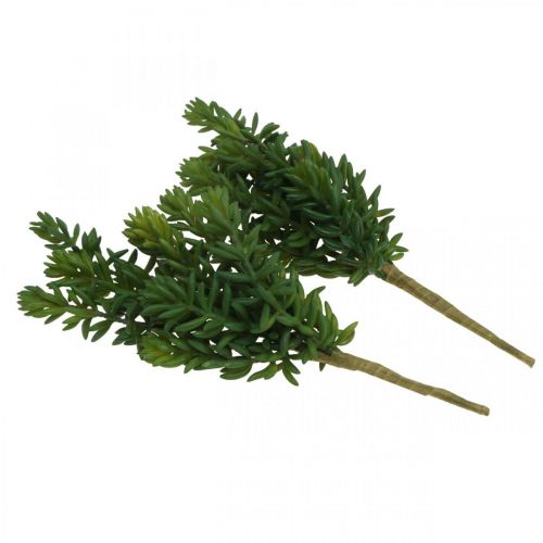 Floristik24 Succulent artificial green plant to stick 25cm green 2pcs