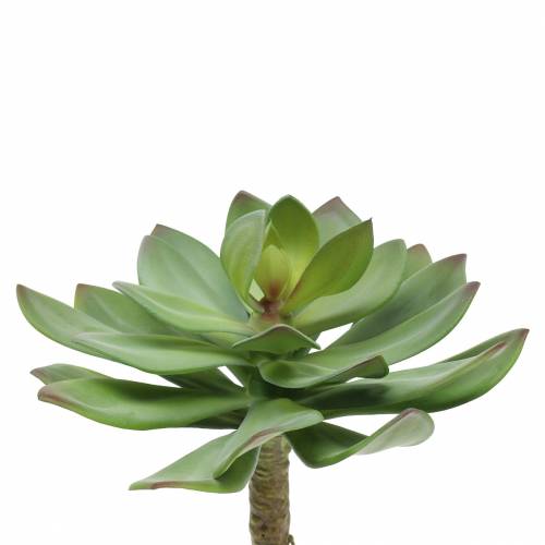Product Artificial succulent green 27cm