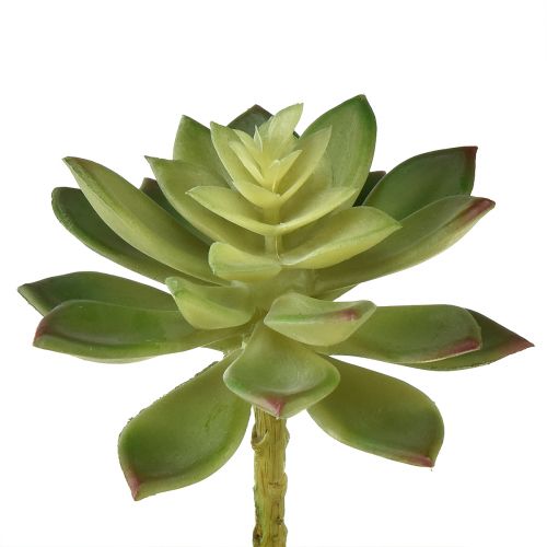 Product Artificial Succulents Artificial Plants Green Ø10cm 4 pcs