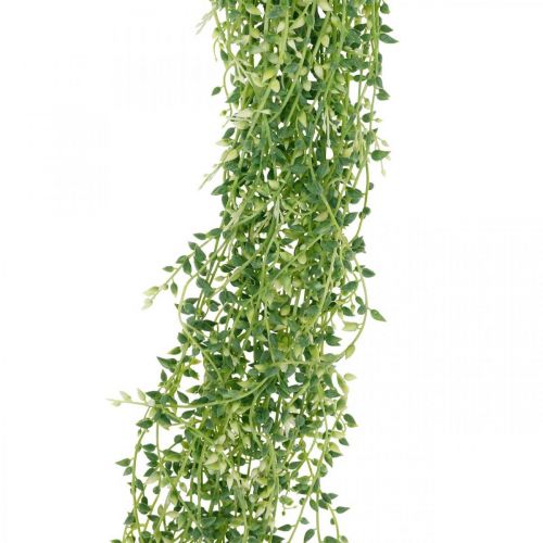 Floristik24 Succulent hanging artificial hanging plant green 96cm