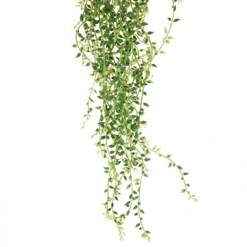Product Succulent hanging artificial hanging plant green 96cm